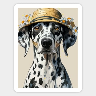 Dogs in Hats. Dalmatians Magnet